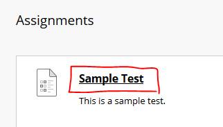 Test link from a course content area. Click on the link to the test